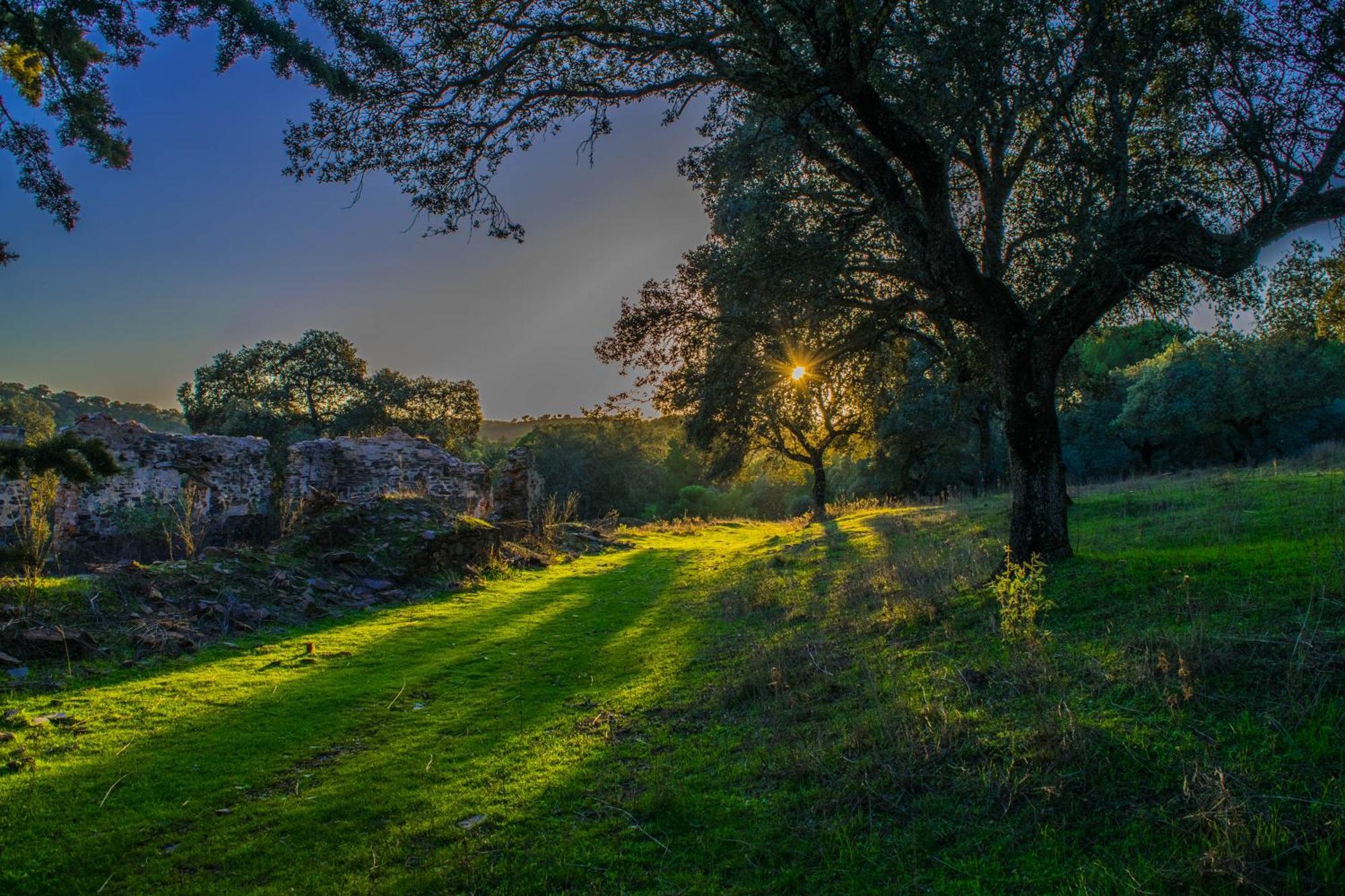 Villamaria, Alma De Despenaperros Miranda del Rey エクステリア 写真