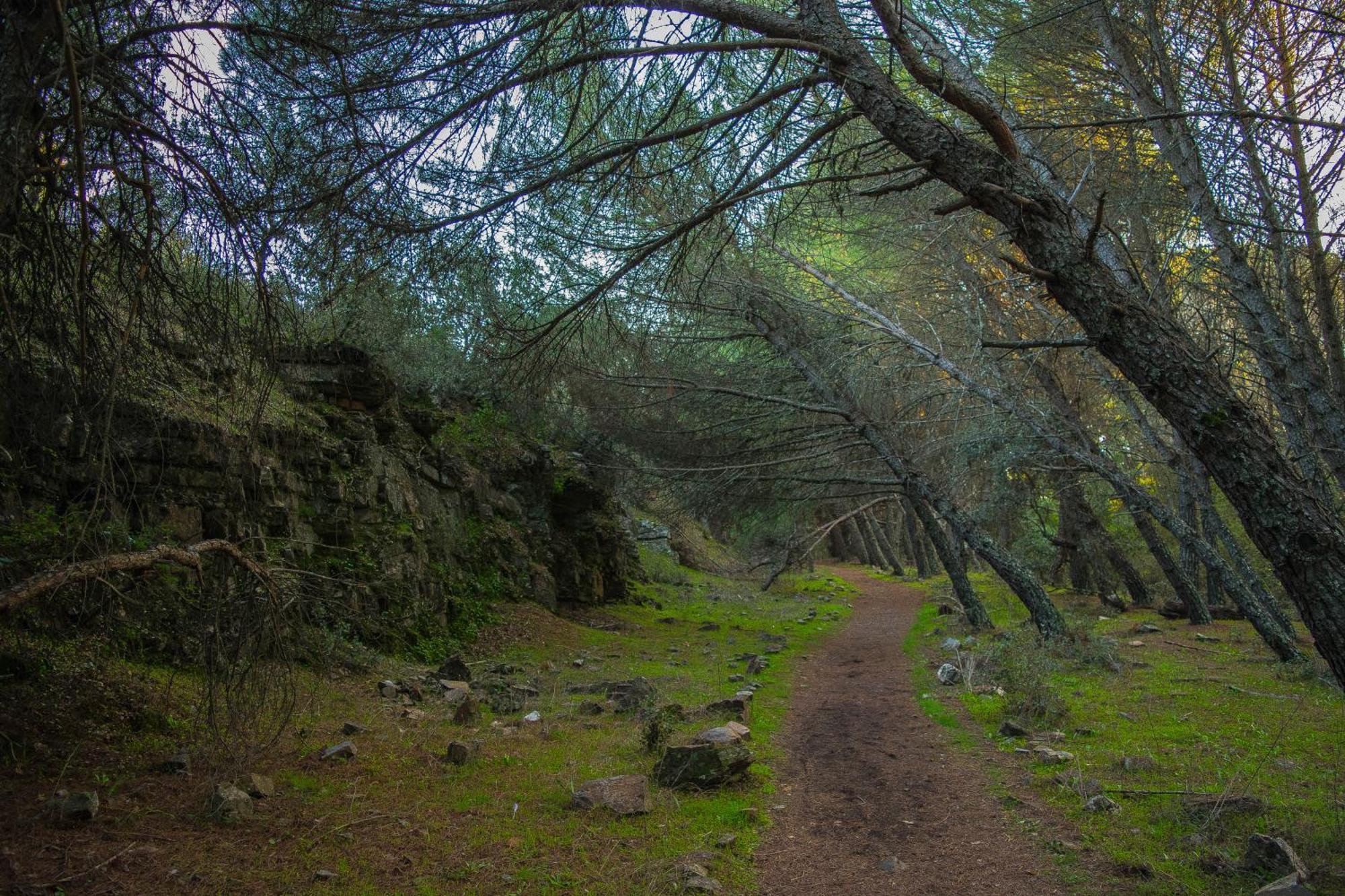 Villamaria, Alma De Despenaperros Miranda del Rey エクステリア 写真