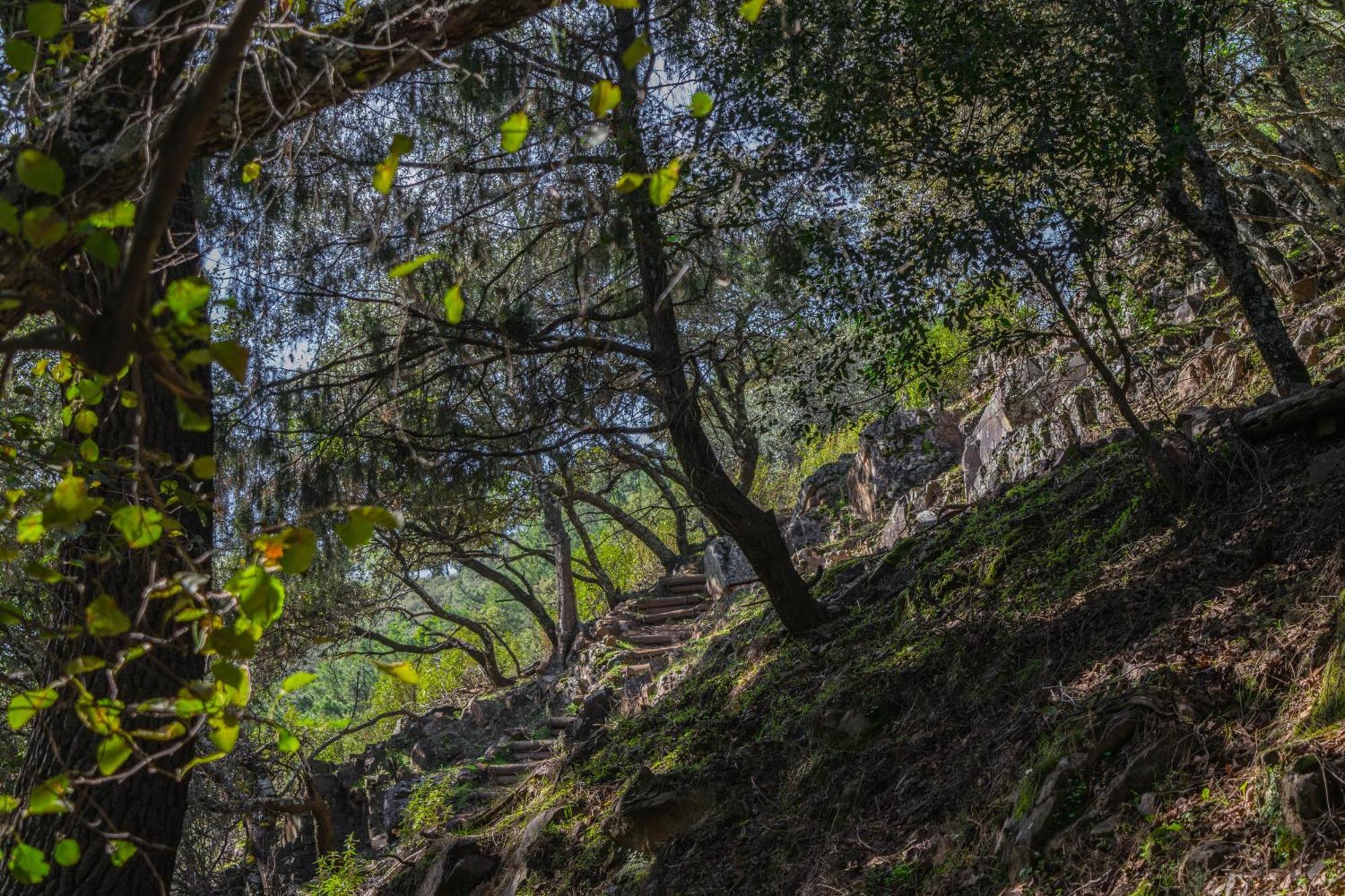 Villamaria, Alma De Despenaperros Miranda del Rey エクステリア 写真